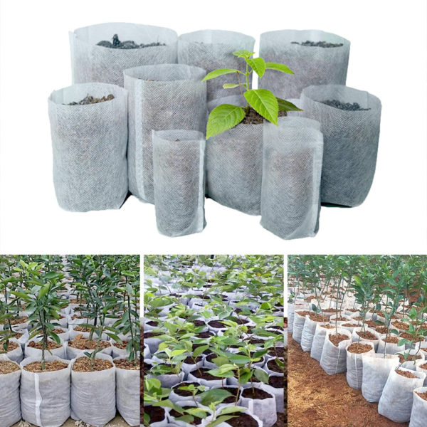 Customized Biodegradable Grow Bag PLA Non-woven