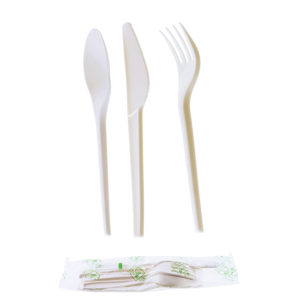 Biodegradable Utensils PLA Knife Fork Spoon Cutlery Kit