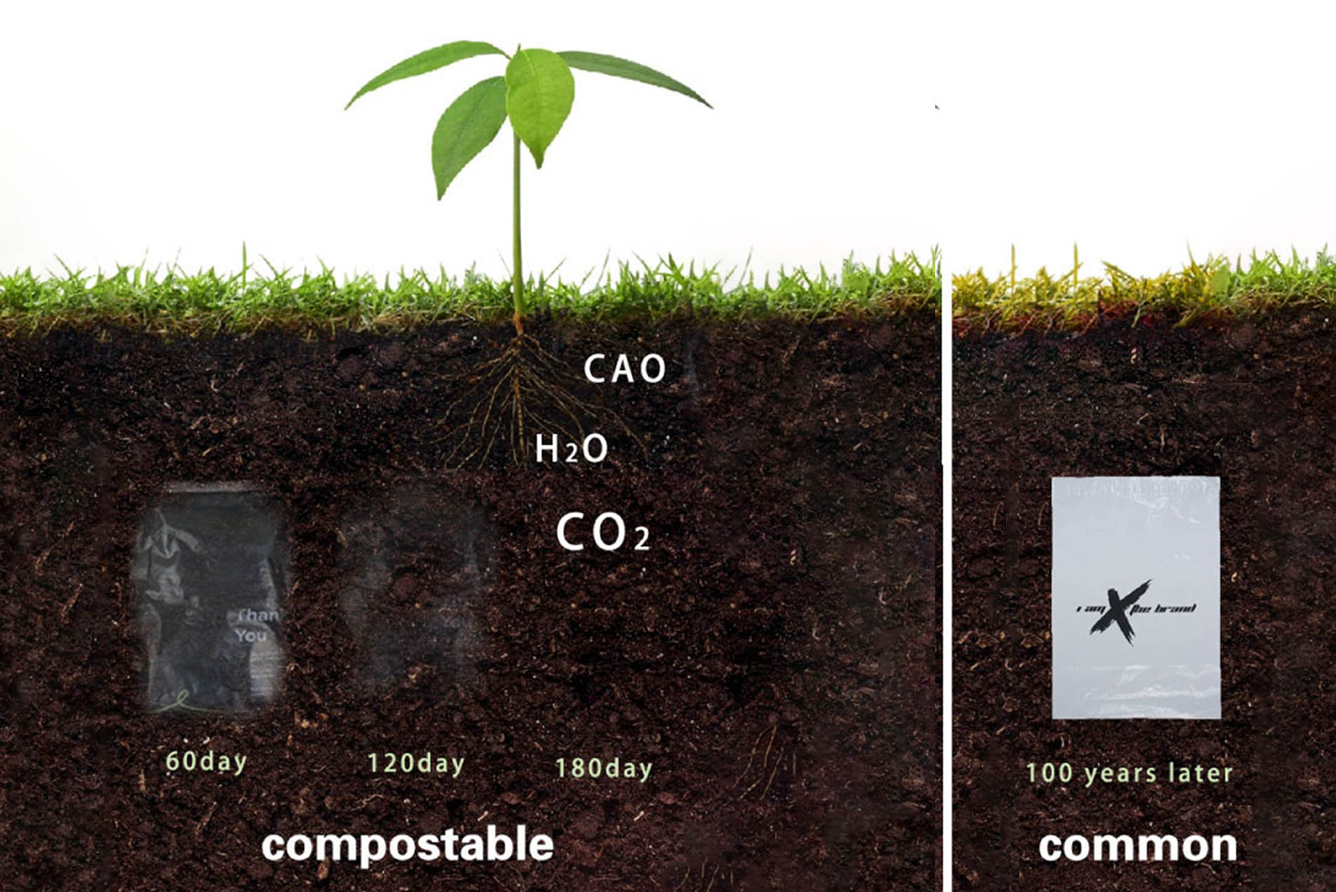 compostable mailer advantage